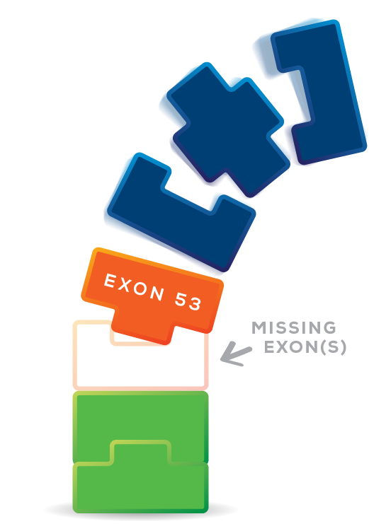 Exon 53 missing exon